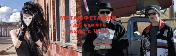 прущие грибы Беломорск