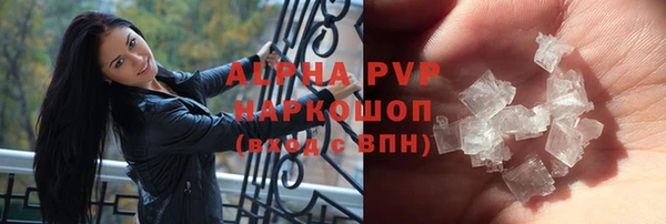 прущие грибы Беломорск