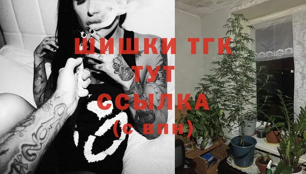 ПСИЛОЦИБИНОВЫЕ ГРИБЫ Тавда