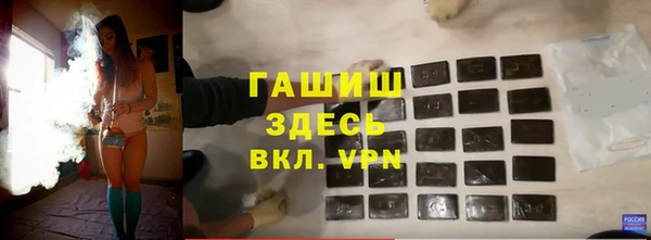 прущие грибы Беломорск