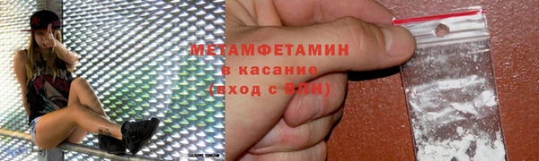 прущие грибы Беломорск