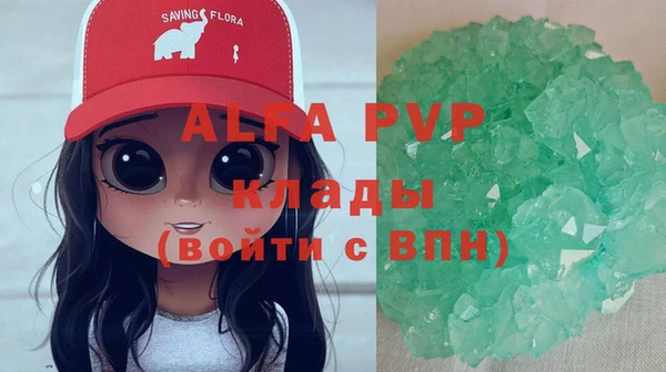 прущие грибы Беломорск