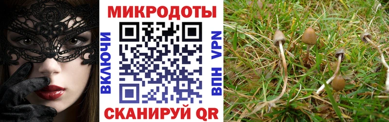Галлюциногенные грибы Psilocybine cubensis  что такое наркотик  MEGA   Краснотурьинск 